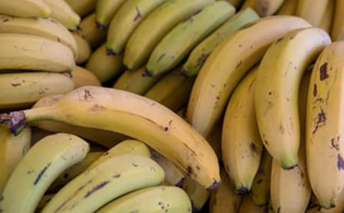 �P(gu��n)���㽶ͯԒ�����\����ƪ