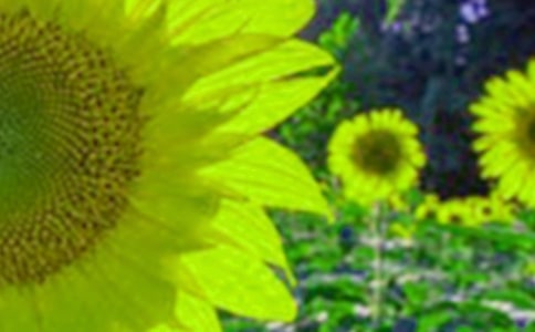 ӛ����̎�����տ�����