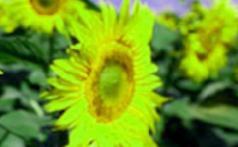 ���P(gu��n)���տ���ӛ����4ƪ