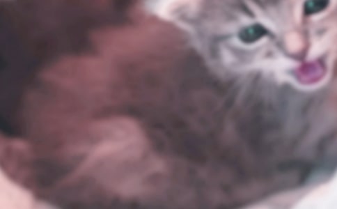 �P(gu��n)���^��С؈��ӛ������ƪ