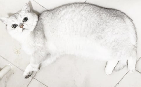 (���])С؈С�W(xu��)����7ƪ