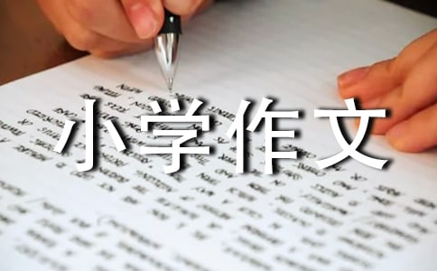 ���Z����С�W(xu��)���ľ��x6ƪ