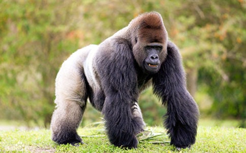 �����c���ɵă�ͯԢ�Թ���