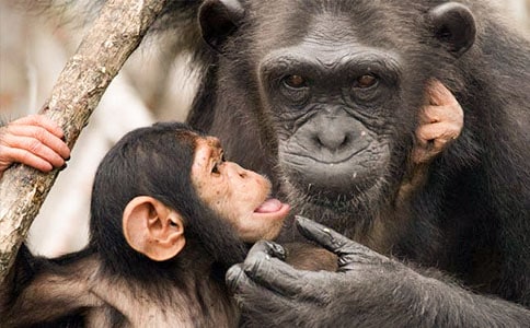 ������С�W(xu��)����