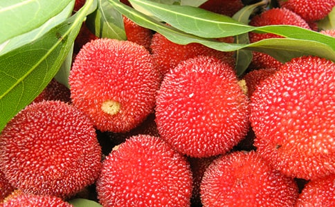 ���l(xi��ng)�ė�÷���ġ����]��