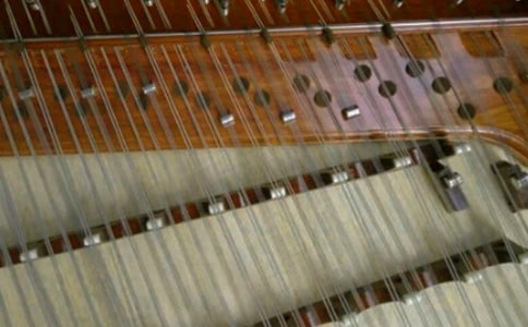 �P(y��ng)�������ֵ���N�Q�ַ���