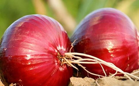 ���[�^�x���400��