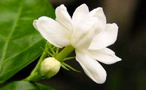 ҹ����400������