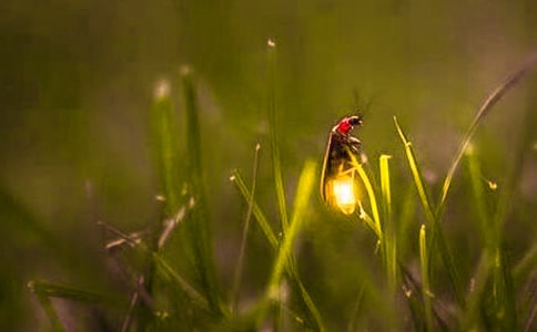 ���P(gu��n)Ξ���x��Ъ���Z