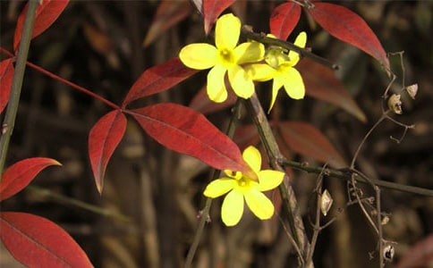 �Ґ�ӭ����������400��