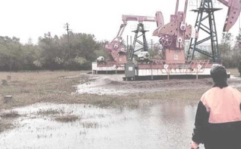 ������A(ch��)���O(sh��)�(xi��ng)Ŀ�L(f��ng)�U(xi��n)�����c����