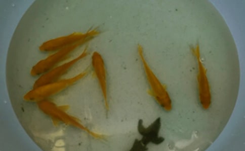 �~��ُ(g��u)�N��ͬ[�]]