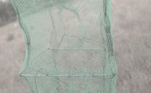 �O�W(w��ng)�m�m�ϴ�ʲôЬ