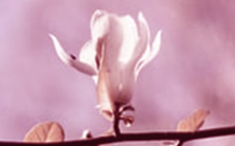 �^�����m��������(7ƪ)