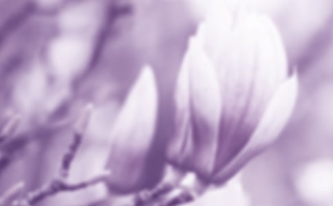 ���ģ�����ӛ���е�����-���m��