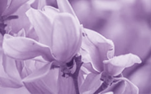 ΢�L(f��ng)���^���m���_����