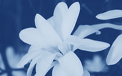 ���m���_(k��i)������