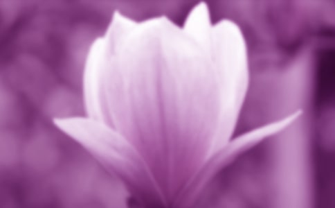 ���m��Ψ������