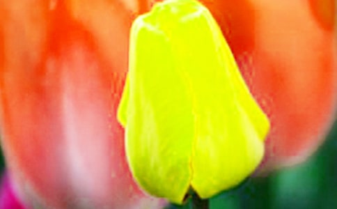 �茑(xi��)������ă�(y��u)������