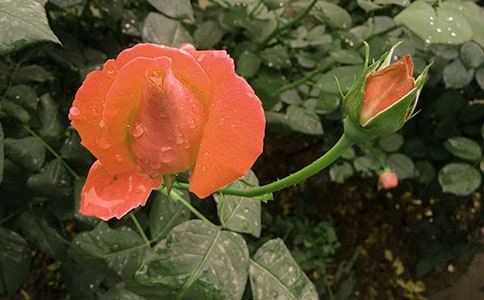 ֲ���^����ӛ���¼��������x22ƪ��