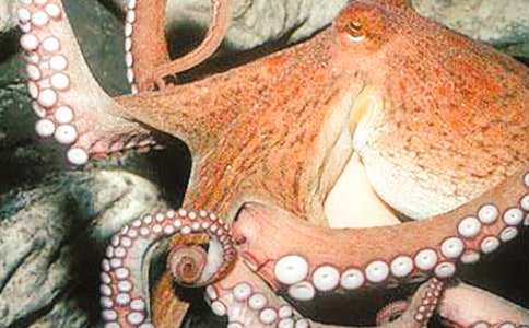 �^�����~��ӛ200��