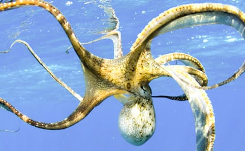 ���~�ҹ���ͯԒ����