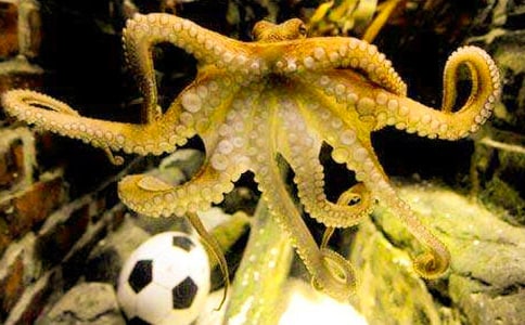 ���~С���ӵ��������]