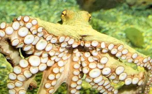 ���~��ӛ200��