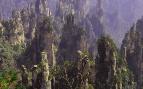 ���ҽ����α؎���Ʒ