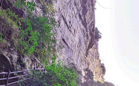 ���Ϗ��ҽ����ι���