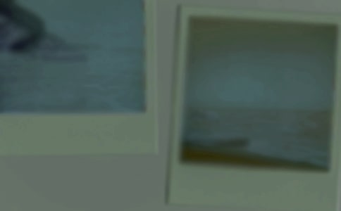 ����������ֳ�����Ƭ