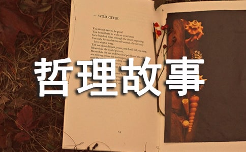 �f�e��������������