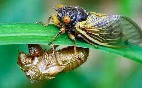 ֪������400��8ƪ