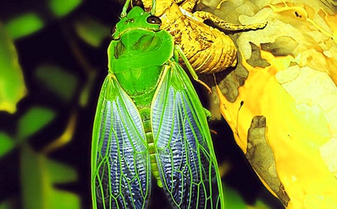 ֪�˵�����600��10ƪ