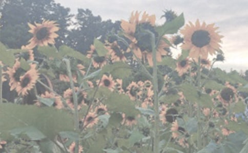 ʯ���fֲ��@��(d��o)���~