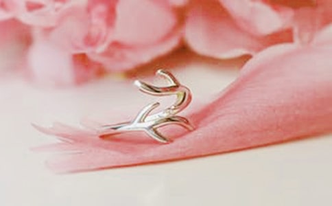 �錚��һ���}��ӷ���