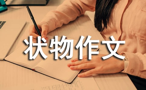 ���껨-������������