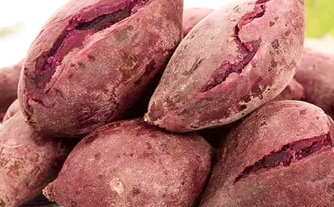 �����~茟�������