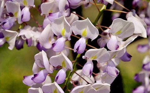 ���ٻ�����500��