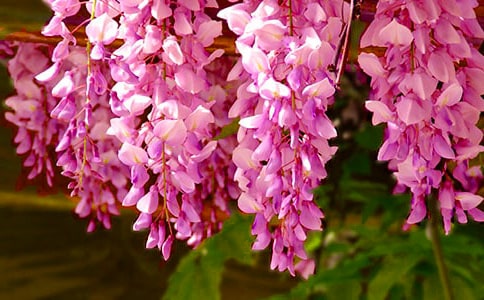 ���ٻ��_��С�W����