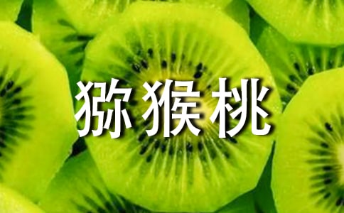 摘獼猴桃發(fā)朋友圈說(shuō)說(shuō)文案