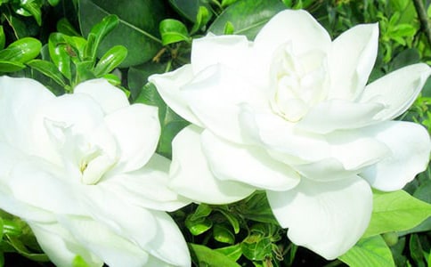 �Z�ժ�x���d�ӻ��_��