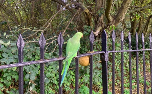 ����Ʒ���W�^�~(y��)����3ƪ