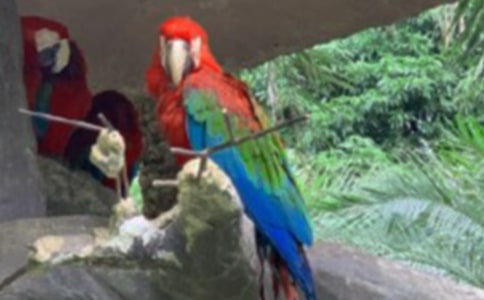 �P(gu��n)���W�^�~���ąR��7ƪ