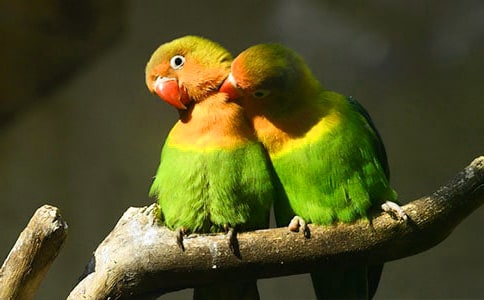  �W�^�����h�����ܳɞ�����Ԣ�Թ���