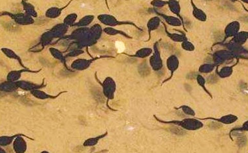 ����^����ӛ����400��