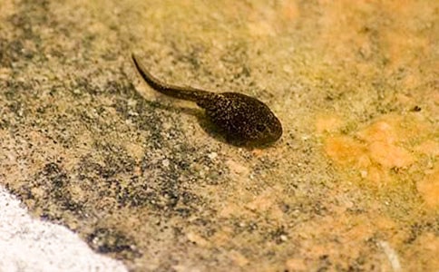 С����^����ӛ