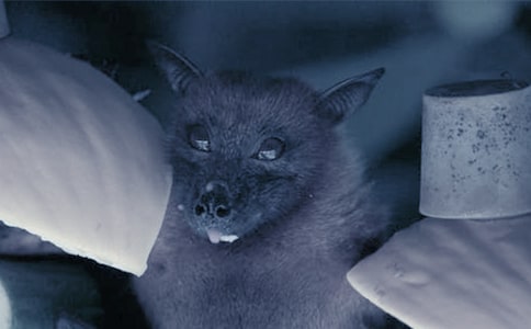 ���P�����Ԣ�Թ���3ƪ