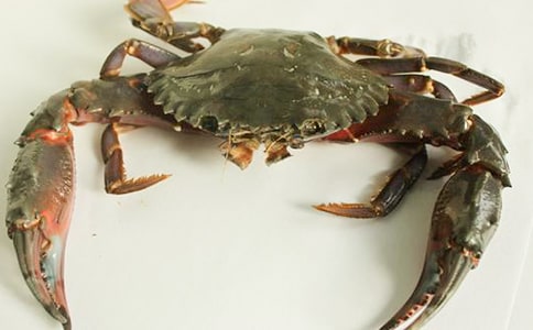 ׽�з����800��3ƪ