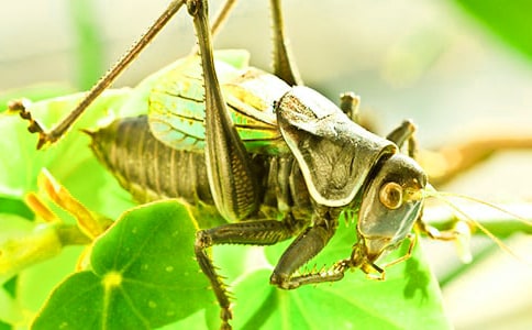 ������400�֣�ͨ��30ƪ��